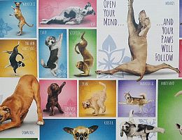 Puzzle Eurographics 1000 pieces: Dog yoga