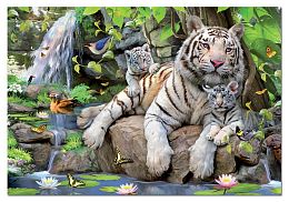 Jigsaw puzzle 1000 pieces Educa: White Bengal tigers