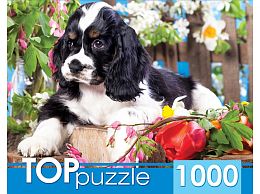 TOP Puzzle 1000 pieces: A spaniel puppy in the garden