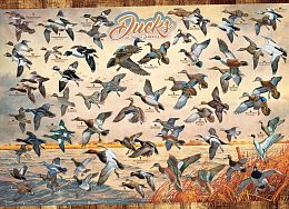 Cobble Hill 1000 Pieces Puzzle: Wild Ducks