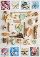 Puzzle Educa 1000 pieces: the Collage. Shell