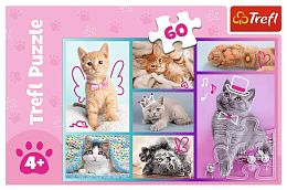 Trefl Puzzle 60 pieces: Sweet Kittens