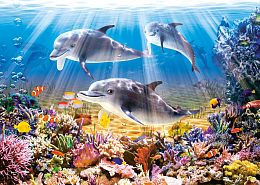 Puzzle Castorland 500 items: Dolphins under water