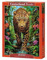 Castorland 2000 Puzzle details: Leopard in the Wild