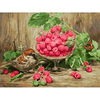 Painting by numbers Snow White: Raspberries in a vase