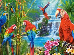 Castorland 2000 Puzzle details: Parrots