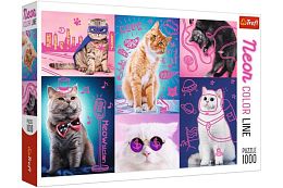 Puzzle Trefl 1000 pieces: Super cat