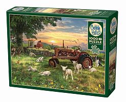 Cobble Hill 1000 Pieces Puzzle: Field at Dawn