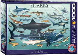 Eurographics 1000 pieces Puzzle: Sharks