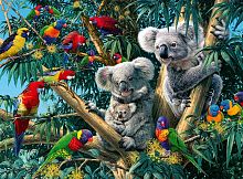 Ravensburger Puzzle 500 details: Koalas on a tree