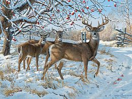 Cobble Hill 500 Pieces Puzzle: Deer in Winter