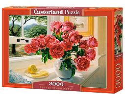 Castorland 3000 Pieces Puzzle: Summer Memories