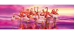 The panorama Clementoni jigsaw puzzle 1000 pieces: the Pink Flamingo
