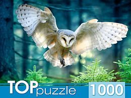 TOP Puzzle 1000 pieces: The Flight of an Owl