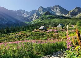 Cherry Pazzi Puzzle 1000 details: A village in the Tatras