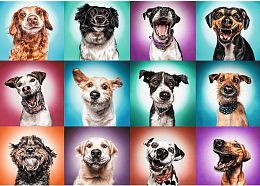 Puzzle Trefl 2000 details: Funny portraits of dogs