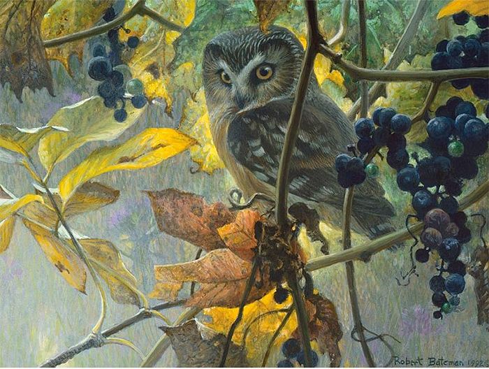 Puzzle Cobble Hill 500 items: Owl and wild grapes 52086