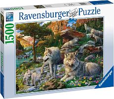 Ravensburger Puzzle 1500 pieces: Spring Awakening of the wolf pack