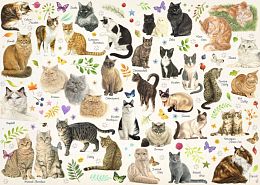 Puzzle Jumbo 1000 pieces: Cats