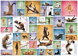 Puzzle Eurographics 1000 pieces: Cat yoga