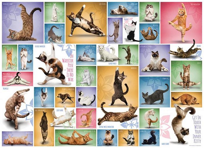 Puzzle Eurographics 1000 pieces: Cat yoga 6000-0953