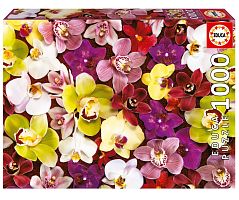 Educa 1000 pieces Puzzle: Collage of orchids