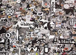 Cobble Hill Puzzle 1000 pieces: Black and White. Animals