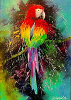 Enjoy 1000 Pieces Puzzle: Colorful Parrot