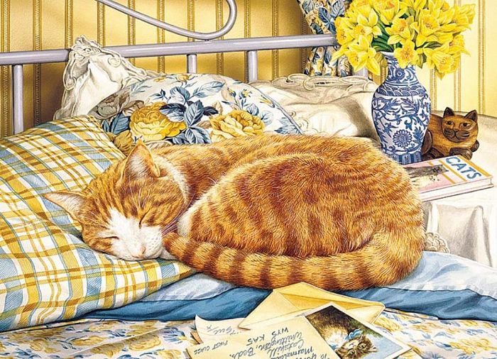 Cobble Hill puzzle 1000 pieces: As comfortable on the pillow 80234