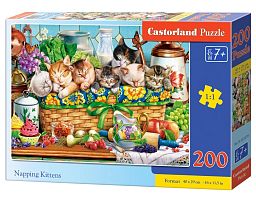 Castorland 200 Pieces Puzzle: Quiet Hour