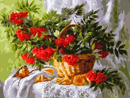 Painting by numbers Snow White: Rowan