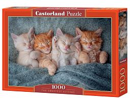 Castorland 1000 Pieces Puzzle: Cute Kittens