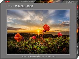 Heye 1000 Piece Puzzle: Cloudberry