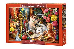 Castorland 1000 Pieces Puzzle: Magic Kittens