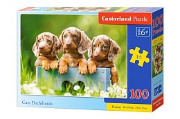 Castorland 100 Pieces Puzzle: Dachshund Puppies