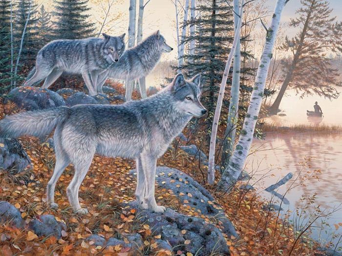 Cobble Hill puzzle 1000 pieces: the Wolves at the edge of the 70040