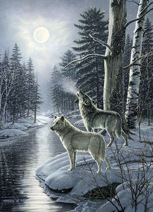 Cobble Hill puzzle 1000 pieces: Wolves at the full moon 51811/80108