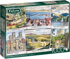 Falcon 1000 puzzle details: The Beautiful North