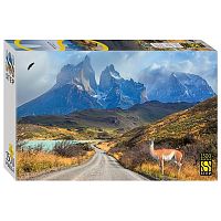 Step puzzle 1500 pieces: National Park in Chile