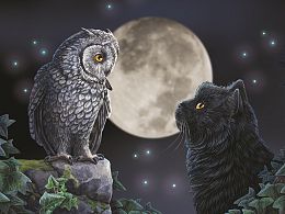 Puzzle Prime 3D 500 pieces: Meeting under the moon