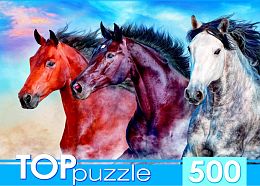 TOP Puzzle 500 pieces: Three Wild Horses