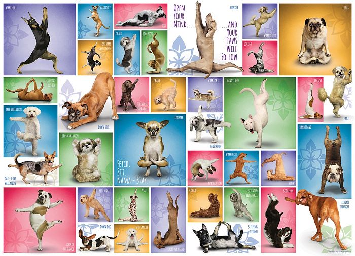 Puzzle Eurographics 1000 pieces: Dog yoga 6000-0954
