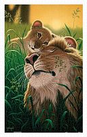 Pintoo 1000-piece puzzle: Shim Schimmel. Father's love