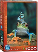 Puzzle Eurographics 1000 pieces: the red eyed tree frog