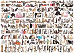 Puzzle Eurographics 1000 pieces: the World of cats