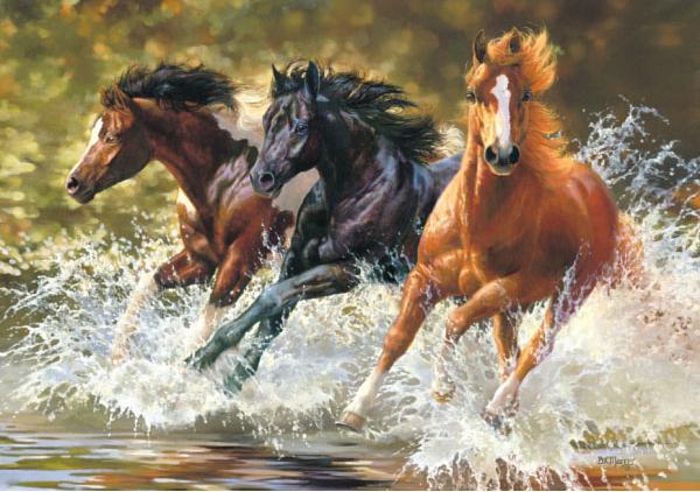 Puzzle Castorland 500 pieces: Horse in the spray B-51823