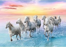 Trefl puzzle 500 pieces: a White horse in gallop