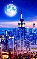 Pintoo 1000 Pieces Puzzle: Moonlit Night. Empire State Building