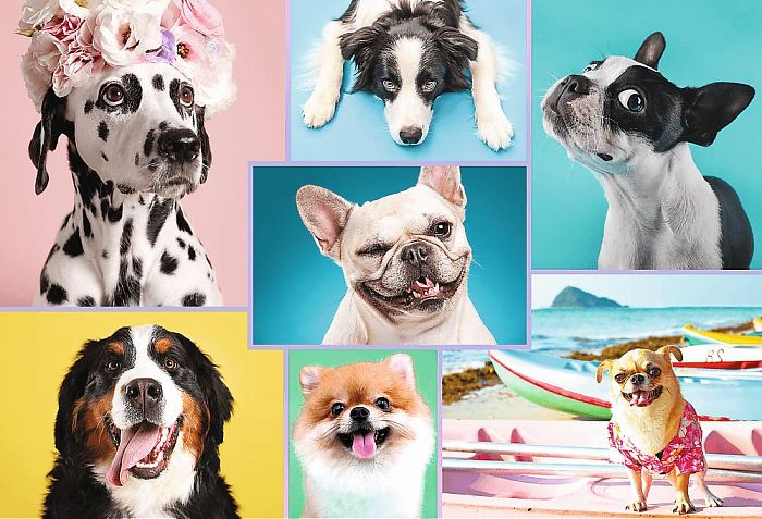 Trefl puzzle 1500 details: Cute dogs, collage TR26186