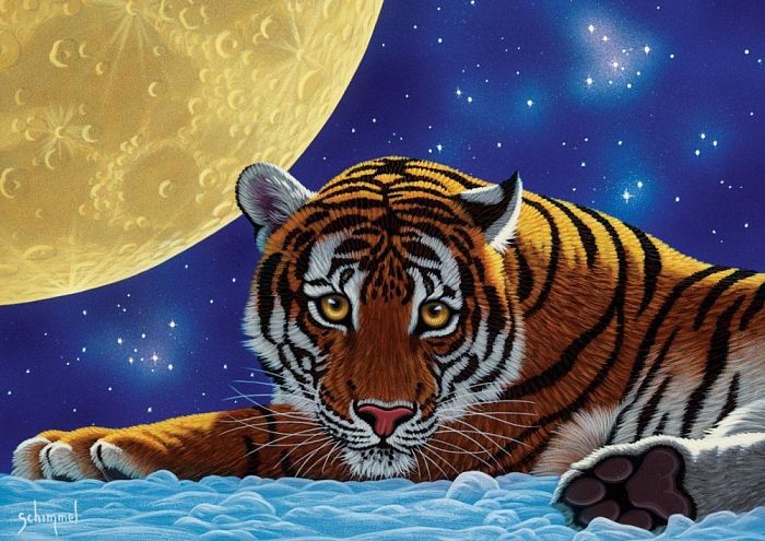 Puzzle Art Puzzle 500 items: tiger moon 5072